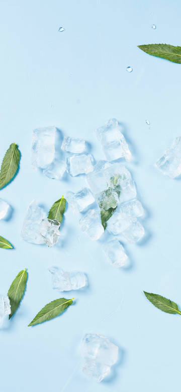 Cool mint ice cubes