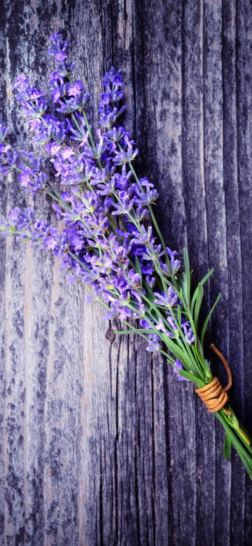 Lavender bouquet on wooden board
