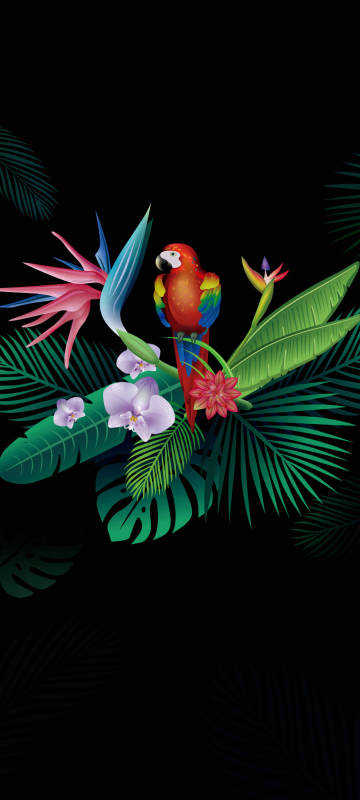 Illustration of parrot with tropical plants on black background