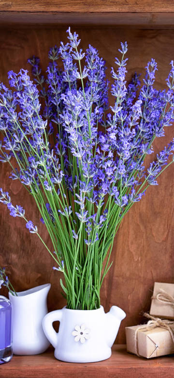 Lavender bouquet on wooden shelf