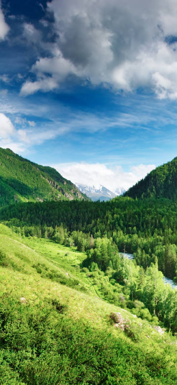 Green hillsides, dense forests, snow-capped mountains