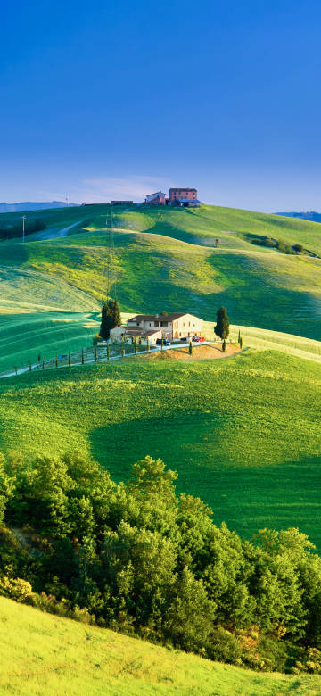 House on the green hill phone wallpaper