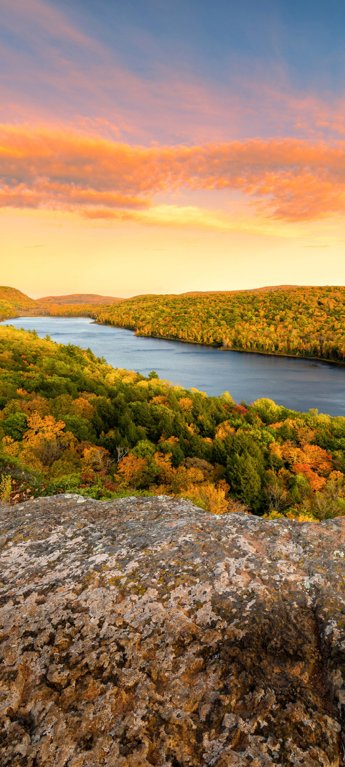 Autumn River and Forest Scenery Phone Wallpaper
